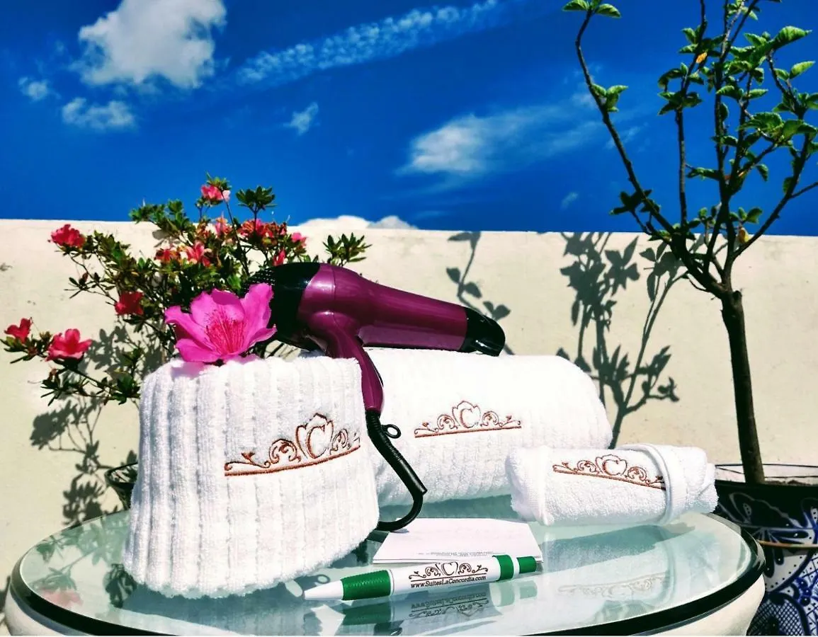 Suites La Concordia 푸에블라 멕시코